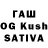 Галлюциногенные грибы Psilocybine cubensis Alisher Garangov
