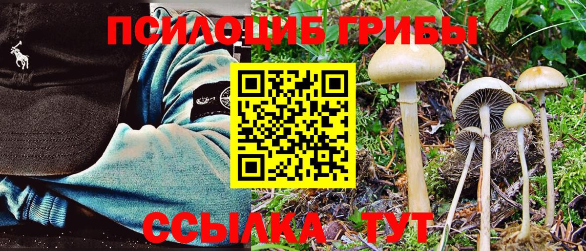 Галлюциногенные грибы Psilocybine cubensis Канаш