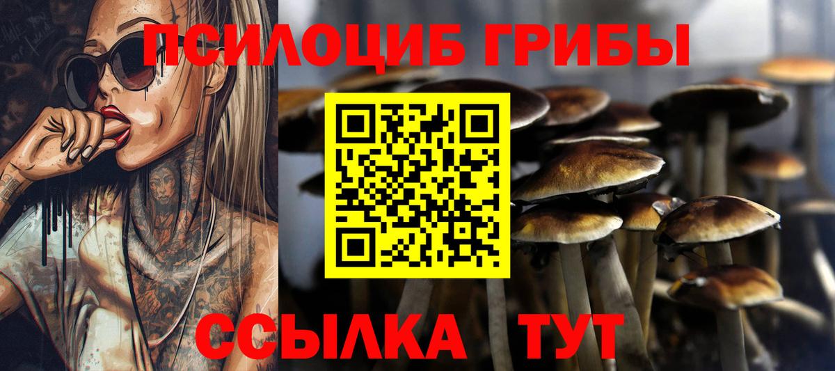 Псилоцибиновые грибы Psilocybe  Вход с VPN  Канаш 